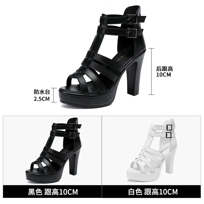 Zapato de gladiador para mujer - Peep Toe Heels reseña y precio